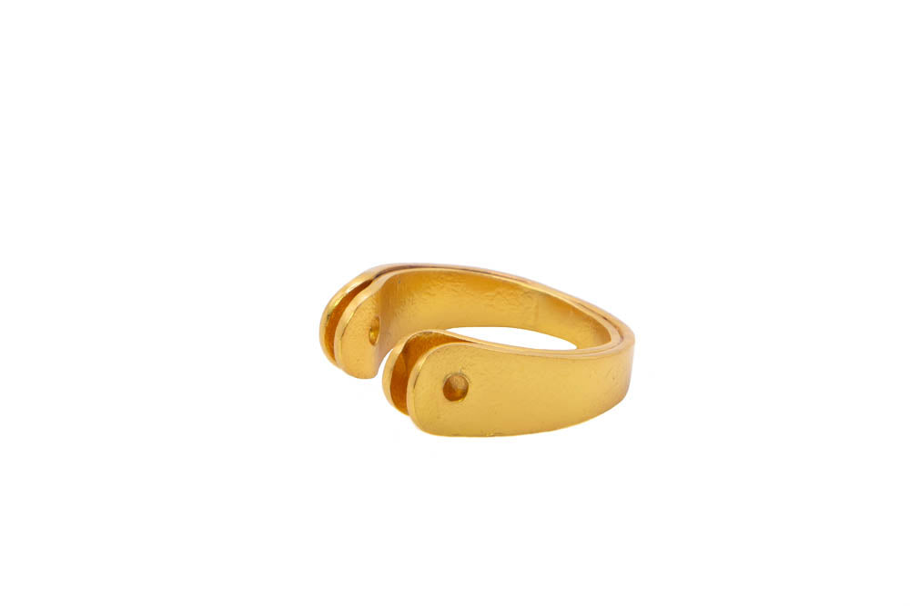 Anillo Plumas duo