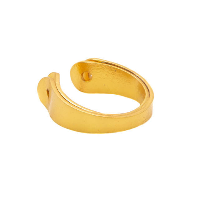 Anillo Plumas duo