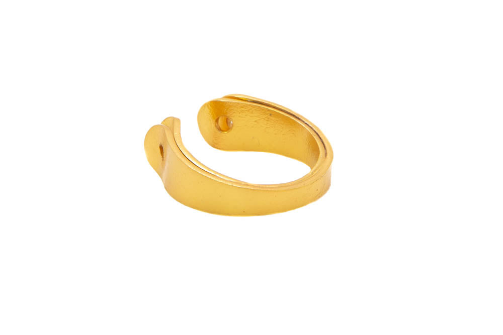 Anillo Plumas duo