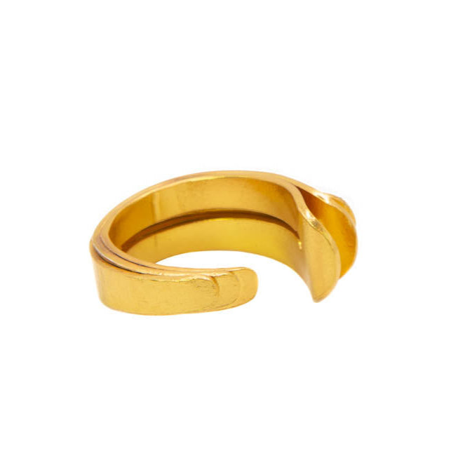 Anillo Plumas Trio