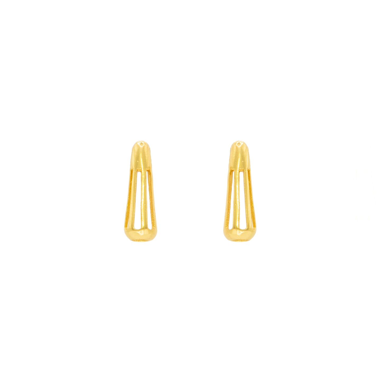 Aretes vida micro